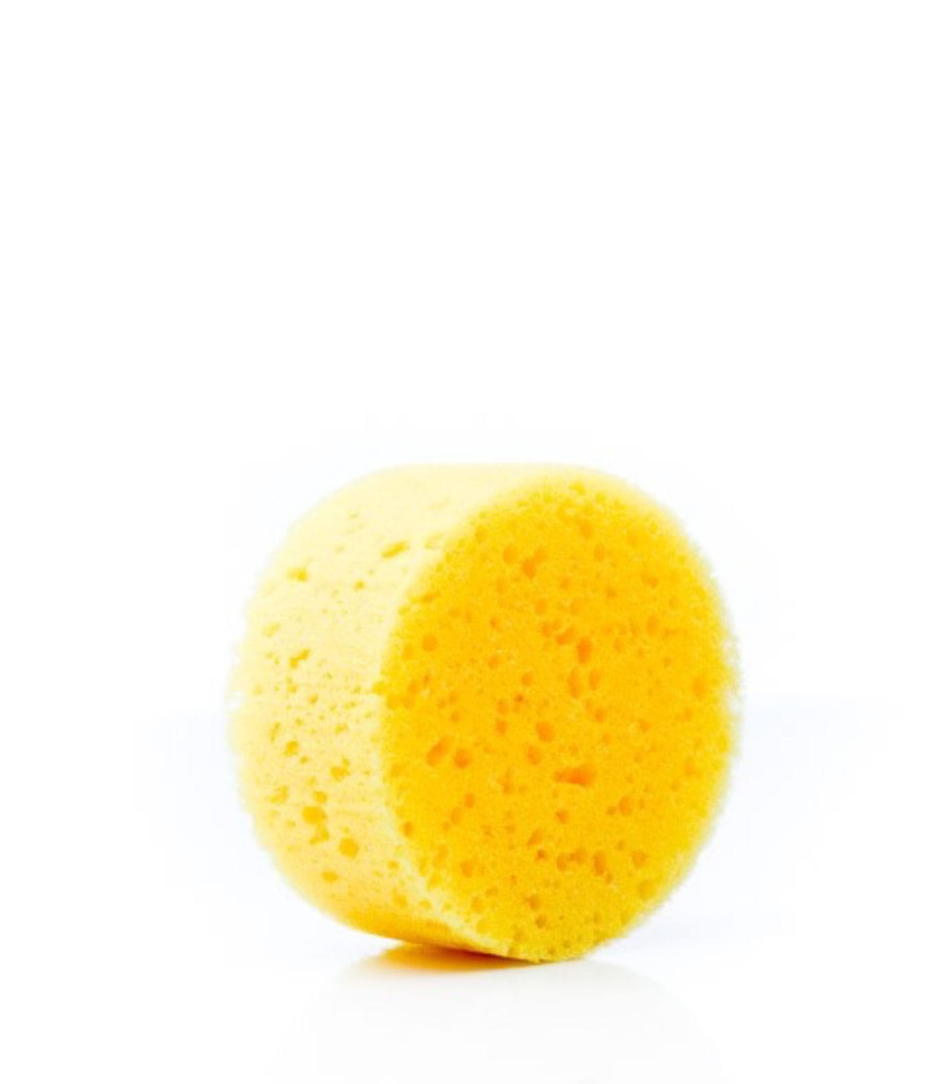 schwämmchen Schwämmchen Ø 80 mm - Auftrageschwämmchen – Bild 1
